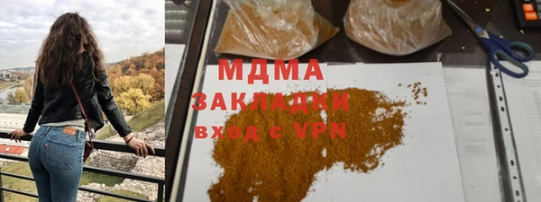 шишки Абаза