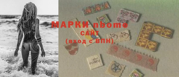 шишки Абаза