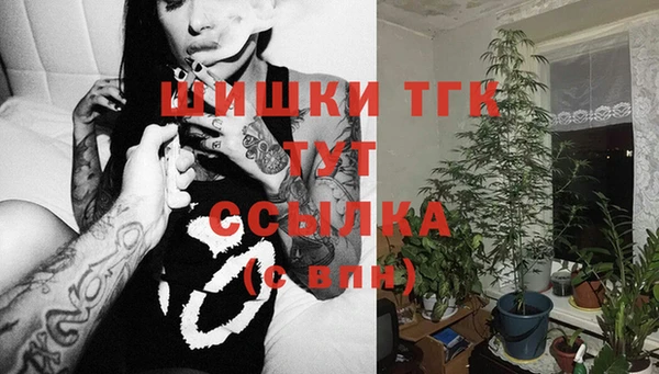 шишки Абаза