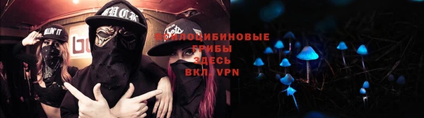 мдпв Осинники