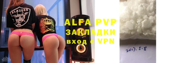 шишки Абаза
