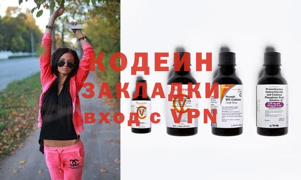 шишки Абаза