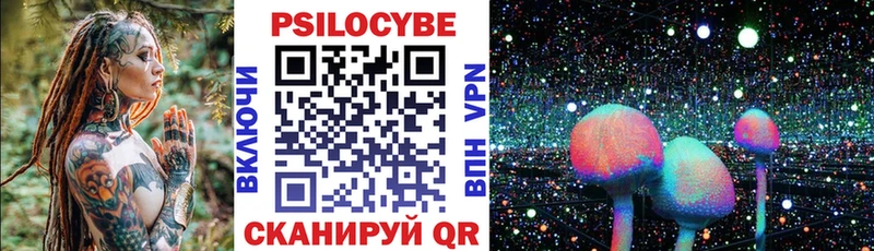 Галлюциногенные грибы Psilocybe купить наркотики цена Курчатов